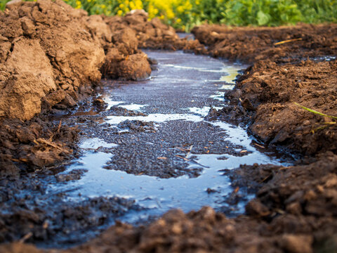 Water runs along a small channel in freshly tilled soil of a farm. The ground is brown and shows signs of recent cultivation. Green plants are visible in the background