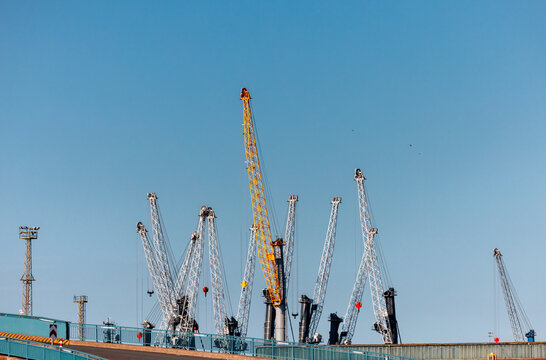 Cranes Against Blue Sky