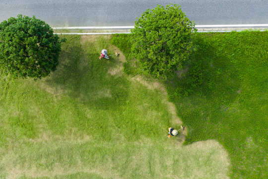 Two Workers Weeding Grass