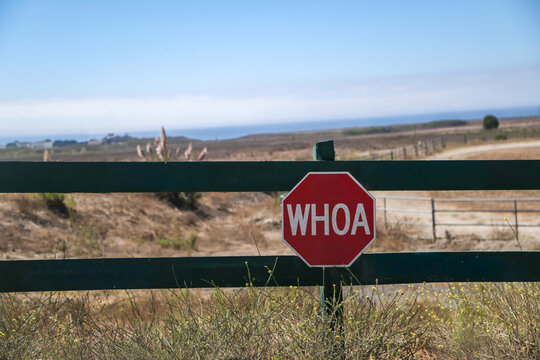 Stop sign that says Whoa