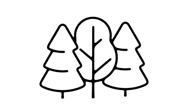 2D pop up animation of stylized flat tree appearing quickly. Separate deciduous or coniferous forest element on alpha channel for motion design.