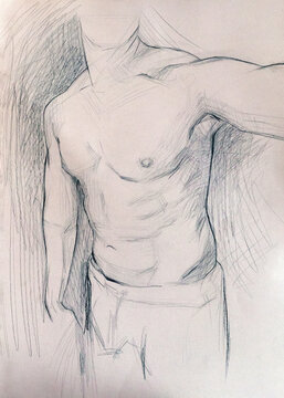 Studio anatomico a matita del torso maschile nudo, schizzo accademico di busto d'uomo atletico con muscoli addominali e pettorali definiti, disegno artistico con tratteggio lineare su carta chiara