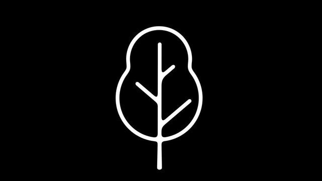 2D pop up animation of stylized flat tree appearing quickly. Separate deciduous or coniferous forest element on alpha channel for motion design.