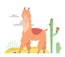 Obraz premium Walking cute llama animal. Mexican alpaca, camel family llama vector illustration