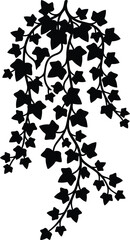Fototapeta premium Ivy vine silhouette vector. Hanging plant vector icon