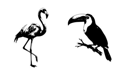 Fototapeta premium Watercolor Pink Flamingo and Tropical Toucan Bird Vector Illustration