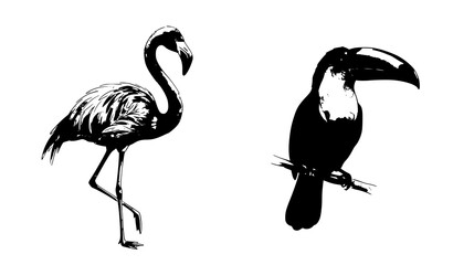 Fototapeta premium Hand Painted Watercolor Flamingo and Toucan Tropical Bird Vector Set