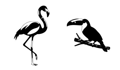 Fototapeta premium Minimal Watercolor Flamingo and Toucan Tropical Birds Vector Artwork
