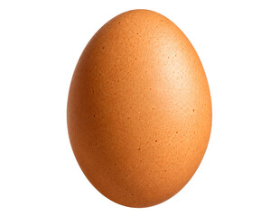 Brown chicken egg isolated on white background © Ira