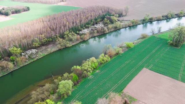Tractor tracks run in straight lines across a vivid green field beside slow river and tall poplar trees. A bare brown plot sits in the corner under hazy light, concept of modern farming and crop mana