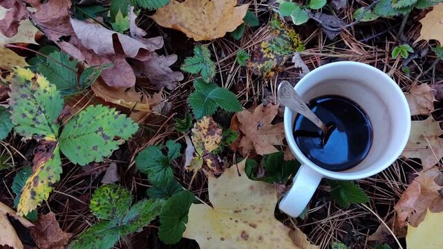 Smoke drifts above dry forest leaves and branches beside a metal cup, natural fire scene, woodland atmosphere, wildfire concept, horizontal video.