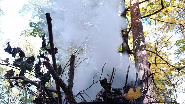 Smoke rises among dry branches and forest vegetation, creating a natural wildfire scene with drifting haze, burning landscape concept, horizontal video.