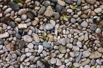Close-up texture of smooth sea pebbles and stones on a beach. © Dmitriy