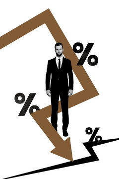 Vertical poster collage young businessman economy money finance recession rate percentage entrepreneur formalwear suit drawing background
