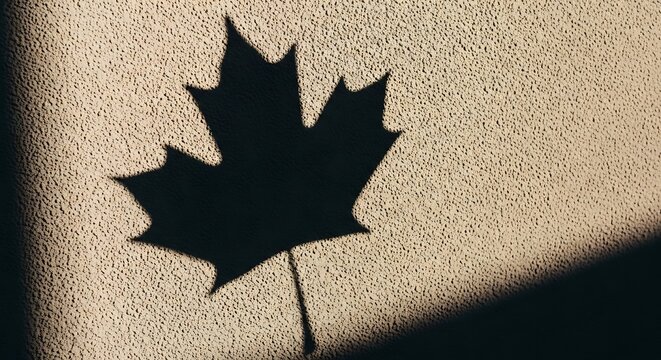 A sharp dark shadow of a canadian maple leaf on a textured concrete wall