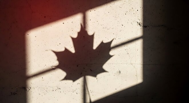 Shadow of a maple leaf cast on a textured concrete wall