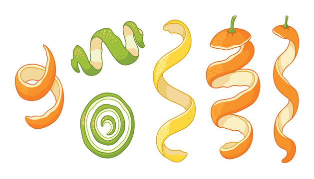 Citrus fruit peel vector illustration set featuring spiral orange lemon and lime rinds isolated on white background