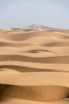 Sand dunes with wave patterns, dune sea, sandy desert, impressive desert landscape, Namib Naukluft Park, Namib desert, Namibia