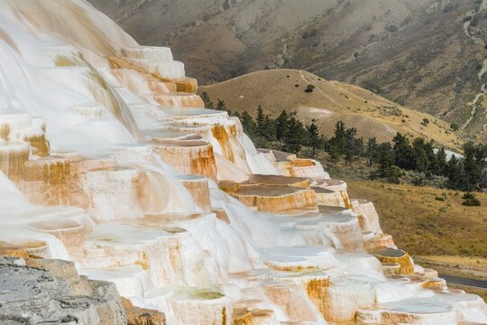 Sinter terraces with calcareous tuff deposits, hot springs, colorful mineral deposits, Palette Springs, Lower Terraces, Mammoth Hot Springs, Yellowstone National Park, Wyoming, USA