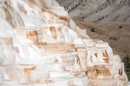 Sinter terraces with calcareous tuff deposits, hot springs, colorful mineral deposits, Palette Springs, Lower Terraces, Mammoth Hot Springs, Yellowstone National Park, Wyoming, USA