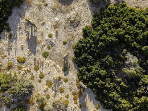 Desert elephants (Loxodonta africana) in the Hoanib dry river, aerial view, Kaokoveld, Kunene region, Namibia