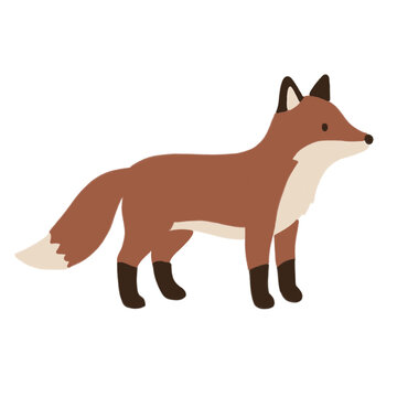 Cute minimalist cartoon fox standing, isolated on dark background vector illustration