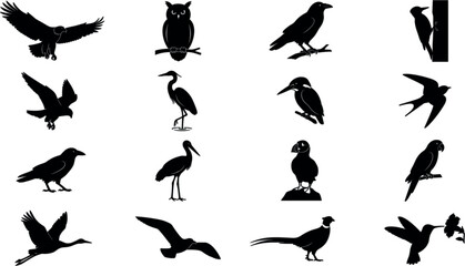 Fototapeta premium Set of various bird silhouettes