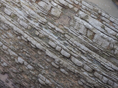 flysch