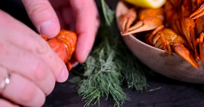 Red boiled crayfish next to sliced yellow lemon, traditional layout of boiled crayfish with dill greens as a snack