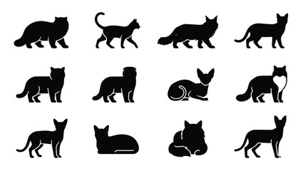 Obraz premium Collection of black silhouette cats in various sitting and standing poses