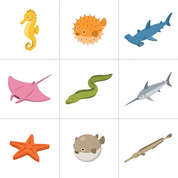Collection of colorful marine life icons and sea creatures