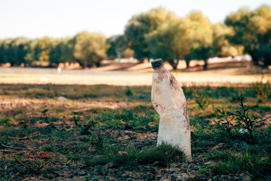 A wide shot of an empty clear plastic bottle lying discarded on dry, patchy ground where cracked soil meets sparse grass.