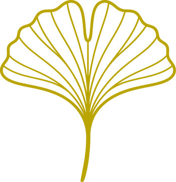 Elegant linear vector illustration of a ginkgo biloba leaf in golden color, isolated on a white background