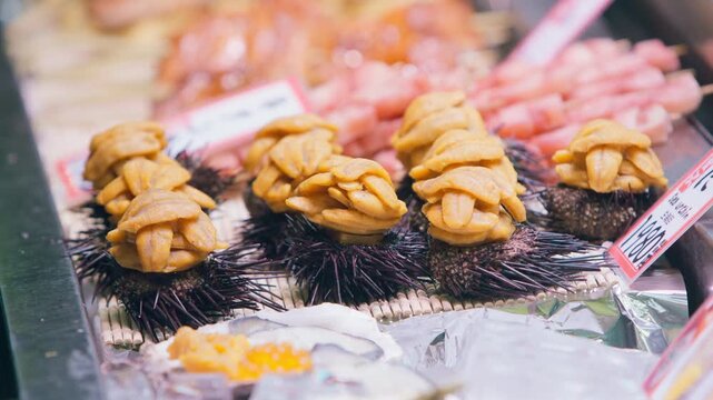 Opened sea urchins sit in rows with orange roe piled above their dark spines, while pink seafood portions and oysters form the display and a passerby briefly interrupts the view in slow motion.