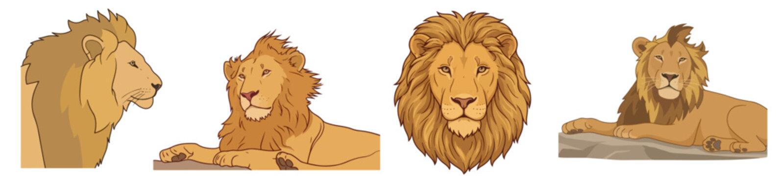 African Male Lion Head Portrait Front and Side View Resting Lion Set Safari Wildlife Concept Vector Illustration Isolated on White Background