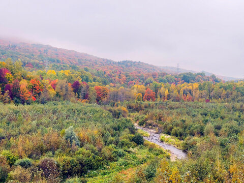 Une rivi&egrave;re en for&ecirc;t en automne. Paysage de montagne en automne, Qu&eacute;bec, Canada.