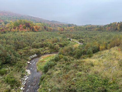 Une rivi&egrave;re en for&ecirc;t en automne. Paysage de montagne en automne, Qu&eacute;bec, Canada.