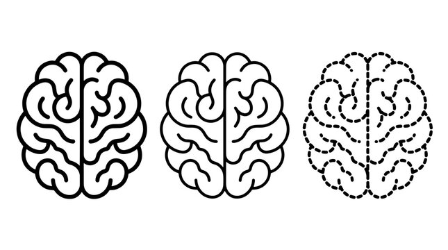 Three black outlined brain icons with one rendered in dashed line style