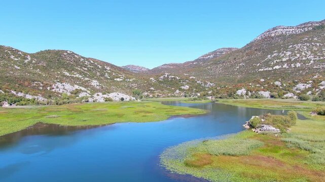 Breathtaking cinematic drone footage flying over the vast pristine waters and lush green mountain shores of Lake Skadar National Park in Montenegro