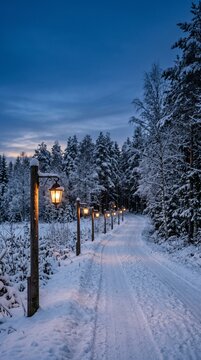 Serene winter scene with snowcovered path lined by vintage street lamps in forest