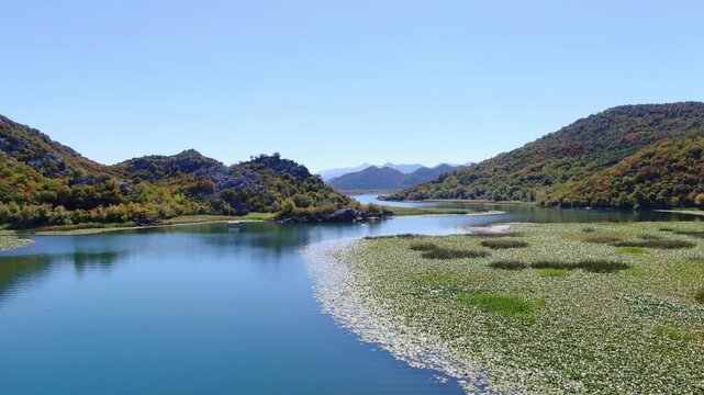 Breathtaking cinematic drone footage flying over the vast pristine waters and lush green mountain shores of Lake Skadar National Park in Montenegro