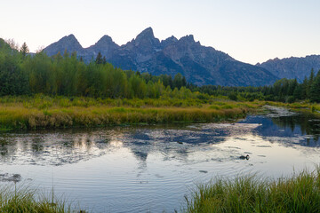 Fototapeta premium Teton Range Reflected in Peaceful Wetlands at Schwabacher Landing, Grand Teton National Park
