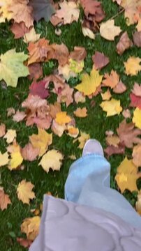 A young woman in light jeans walks through the park during golden autumn, stepping on bright yellow and orange maple leaves on green grass. Cozy autumn day atmosphere
