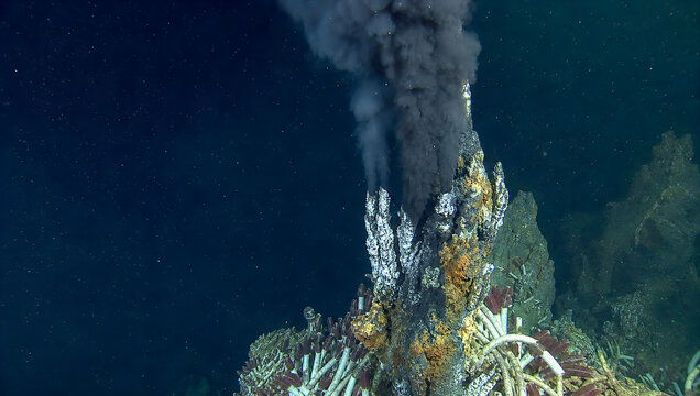 Deep sea black smoker vent releases dark mineral plume beside rugged hydrothermal chimney and tube worm colony in ocean darkness