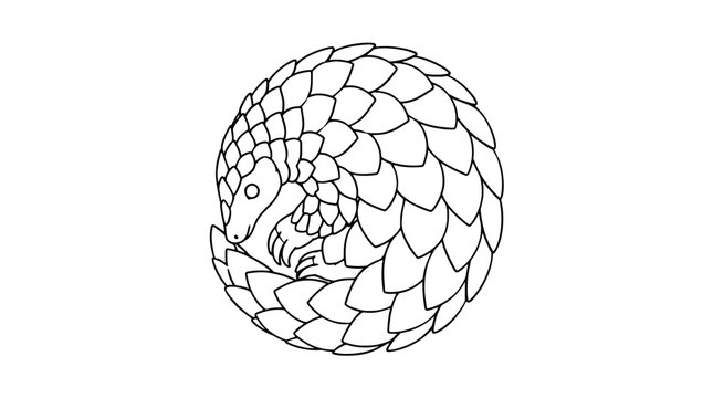 Black outline vector icon of a curled pangolin rolled into a tight ball with overlapping pointed scales, tucked head and clawed foot visible rendered in thin clean lines in coiled roundel form