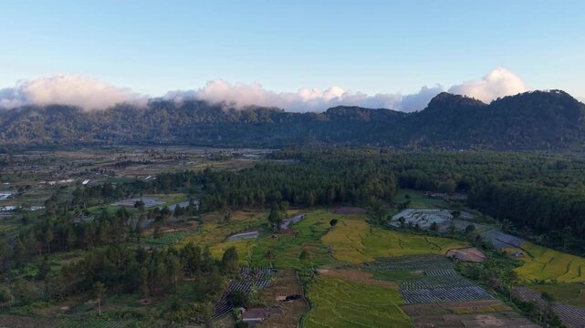Clouds drift over misty mountain peaks. Fields stretch below, vibrant with green and gold at Pronojiwo, Lumajang