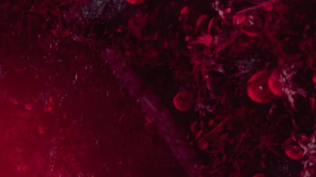 In a surreal underwater world, vibrant red hues illuminate swirling shapes. Bubbles rise while shadows dance, creating an atmosphere rich with mystery and allure, evoking the deep seas secrets.