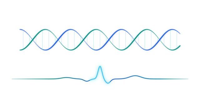 Abstract DNA Double Helix Structure and Blue Frequency Waveform Illustration on White Background
