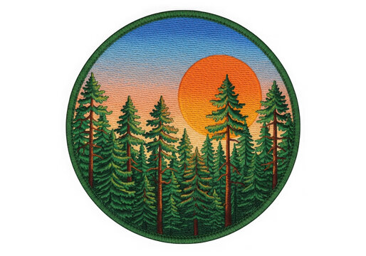Vibrant forest sunset with tall pine trees and orange sky