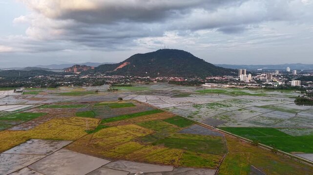 Aerial photograph of wet farmland fields with different textures and colors, set against a backdrop of a mountain and cloudy sky at Bukit Mertajam